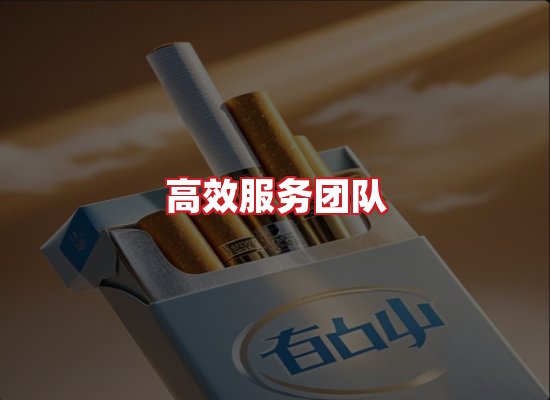 专业团队